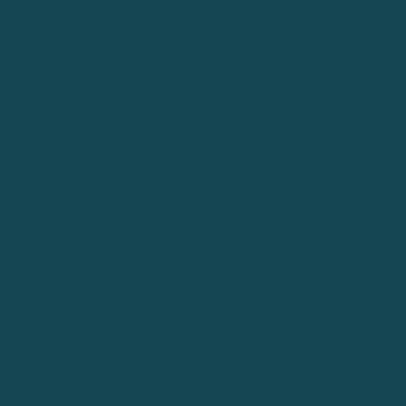 2055-10 Teal